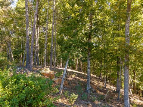 Lot 62 Ridge Drive Blue Ridge GA 30513