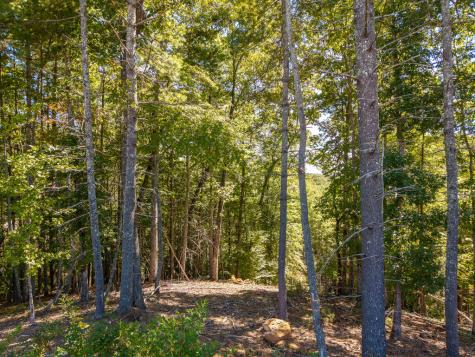 Lot 62 Ridge Drive Blue Ridge GA 30513