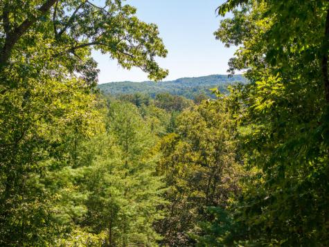 Lot 62 Ridge Drive Blue Ridge GA 30513