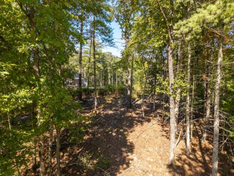 Lot 62 Ridge Drive Blue Ridge GA 30513