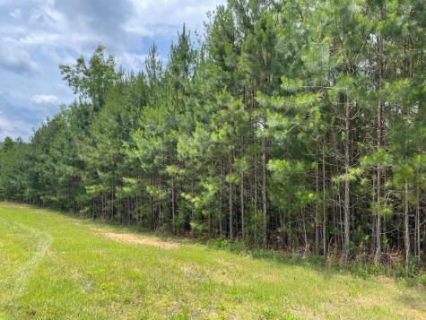 Lot 41 Northshore Blairsville GA 30512