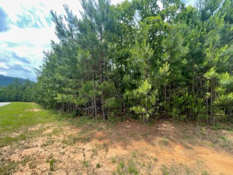 Lot 41 Northshore Blairsville GA 30512