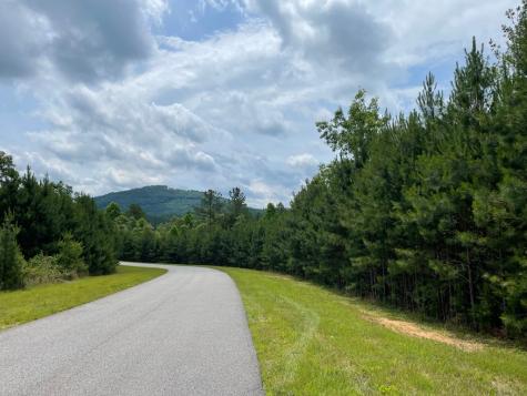 Lot 41 Northshore Blairsville GA 30512