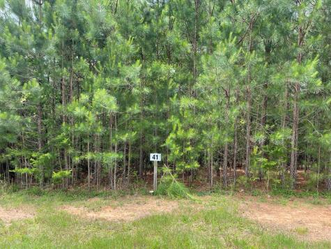 Lot 41 Northshore Blairsville GA 30512