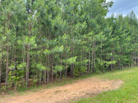 Lot 41 Northshore Blairsville GA 30512