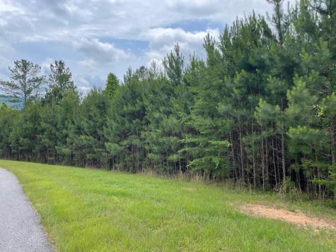 Lot 41 Northshore Blairsville GA 30512