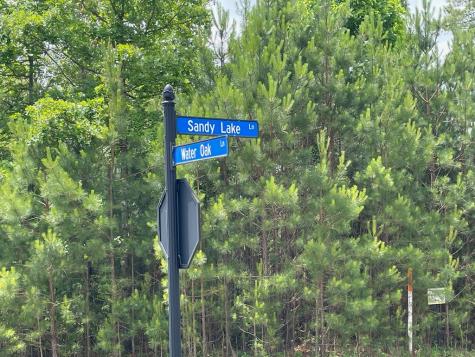 Lot 41 Northshore Blairsville GA 30512