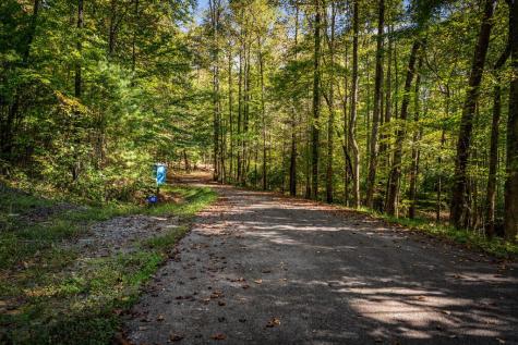 Lt 33 Pheasant Tail Trace Ellijay GA 30536
