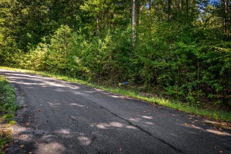 Lt 33 Pheasant Tail Trace Ellijay GA 30536