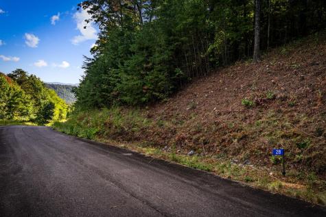 Lt 33 Pheasant Tail Trace Ellijay GA 30536