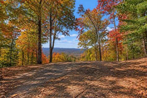 Lt 33 Pheasant Tail Trace Ellijay GA 30536