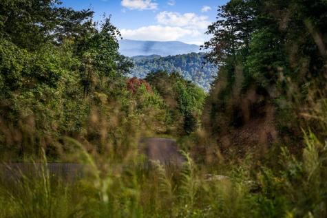 Lt 33 Pheasant Tail Trace Ellijay GA 30536