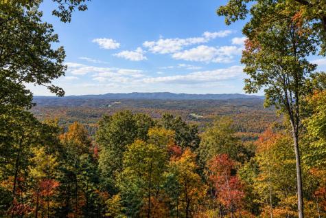 Lt 33 Pheasant Tail Trace Ellijay GA 30536