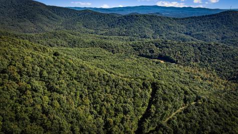 Lt 33 Pheasant Tail Trace Ellijay GA 30536
