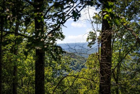 Lt 33 Pheasant Tail Trace Ellijay GA 30536