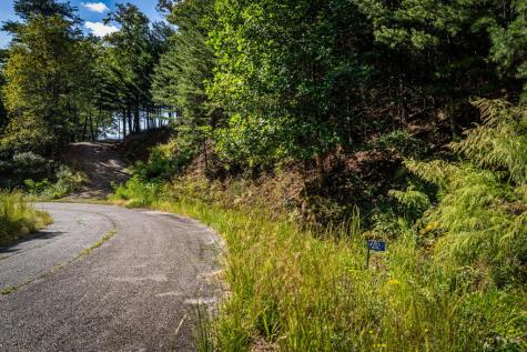 Lt 33 Pheasant Tail Trace Ellijay GA 30536