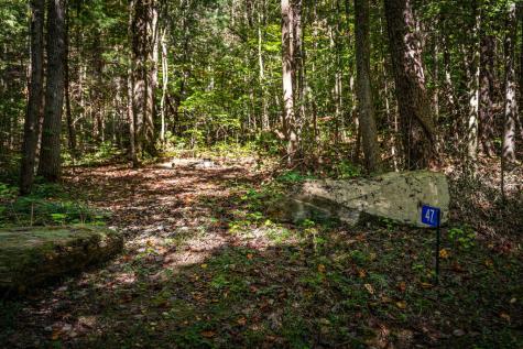Lt 33 Pheasant Tail Trace Ellijay GA 30536