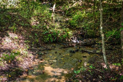 Lt 33 Pheasant Tail Trace Ellijay GA 30536