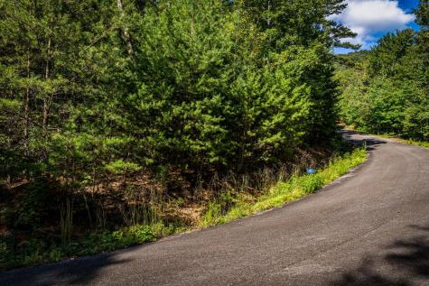 Lt 33 Pheasant Tail Trace Ellijay GA 30536