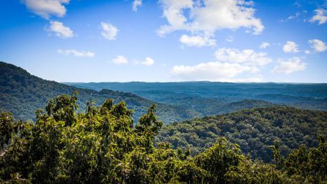 Lt 33 Pheasant Tail Trace Ellijay GA 30536