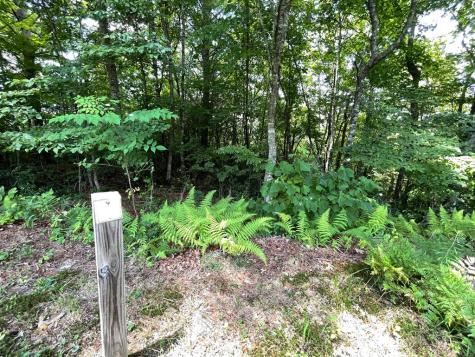 Lot 37 Fodder Creek Mill Drive Hiawassee GA 30546