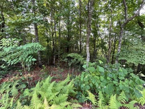 Lot 37 Fodder Creek Mill Drive Hiawassee GA 30546