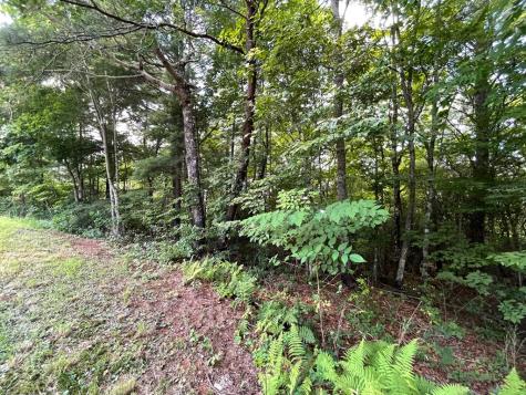 Lot 37 Fodder Creek Mill Drive Hiawassee GA 30546