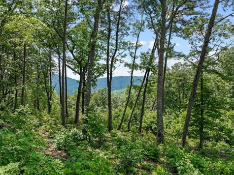 Lot 53 High Summit Drive Talking Rock GA 30175
