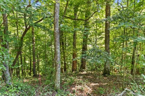 Lot 36 Timberwalk Drive Ellijay GA 30540