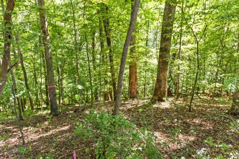 Lot 36 Timberwalk Drive Ellijay GA 30540