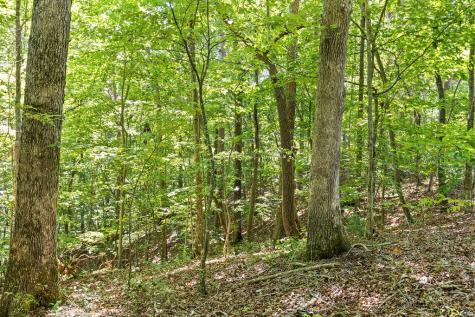 Lot 36 Timberwalk Drive Ellijay GA 30540