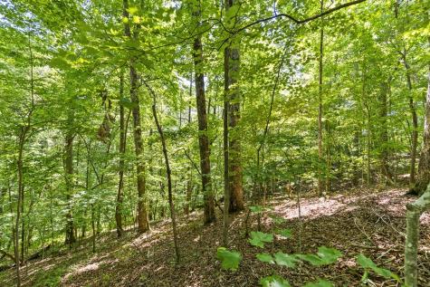 Lot 36 Timberwalk Drive Ellijay GA 30540