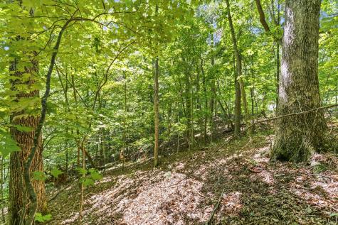 Lot 36 Timberwalk Drive Ellijay GA 30540