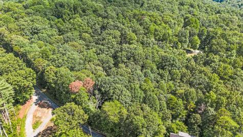 Lot 36 Timberwalk Drive Ellijay GA 30540
