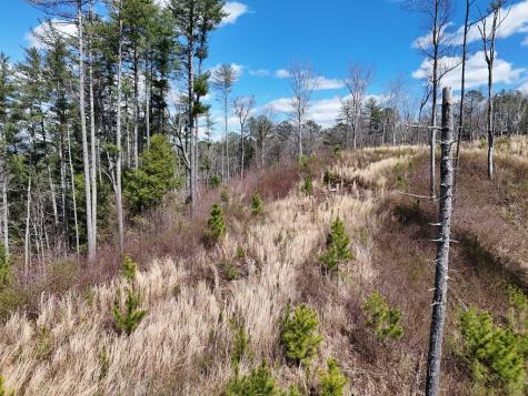 Lot 253 High River Crossing Ellijay GA 30540