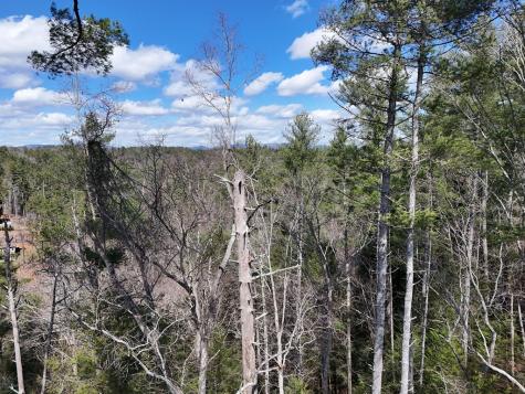 Lot 253 High River Crossing Ellijay GA 30540