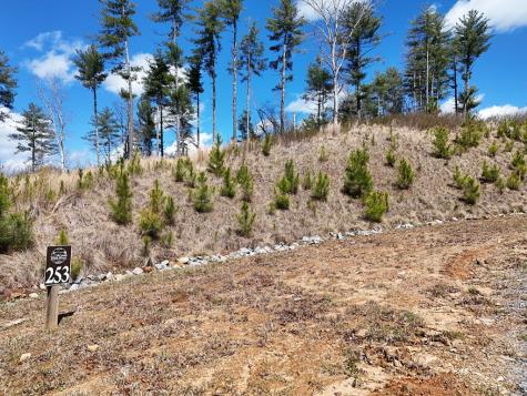 Lot 253 High River Crossing Ellijay GA 30540