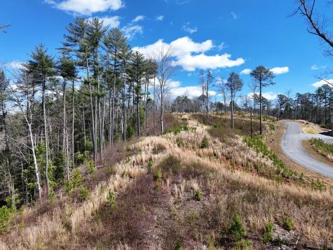 Lot 253 High River Crossing Ellijay GA 30540