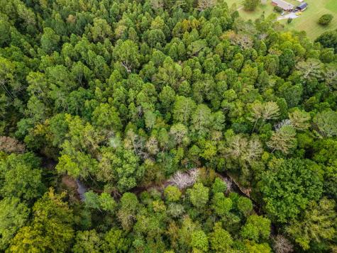 2.35 Ac Old Northcutt Road Ellijay GA 30540