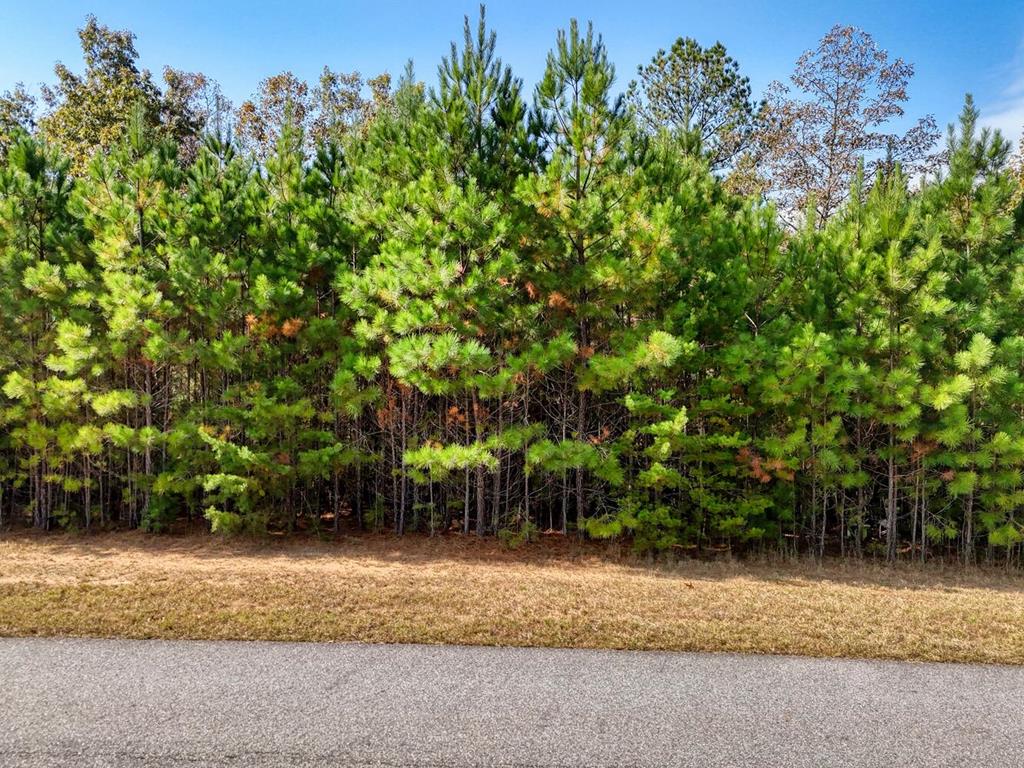 Lot 42 Water Oak Lane Blairsville GA 30512