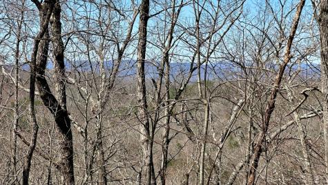 Lot 3 Blue Horizon Drive Blue Ridge GA 30513