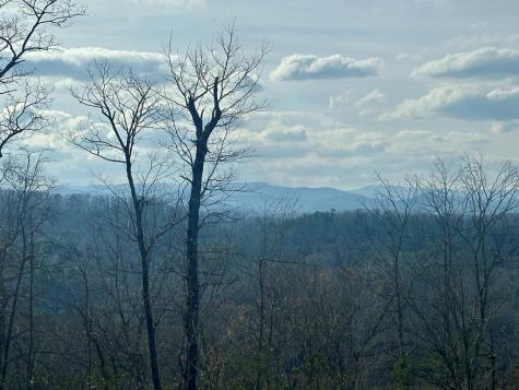 Lot 3 Blue Horizon Drive Blue Ridge GA 30513