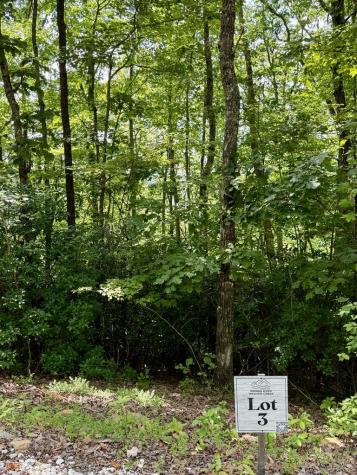 Lot 3 Blue Horizon Drive Blue Ridge GA 30513