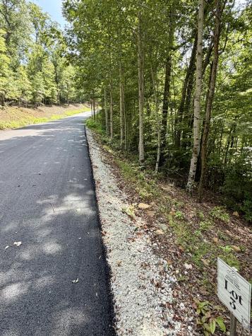 Lot 3 Blue Horizon Drive Blue Ridge GA 30513