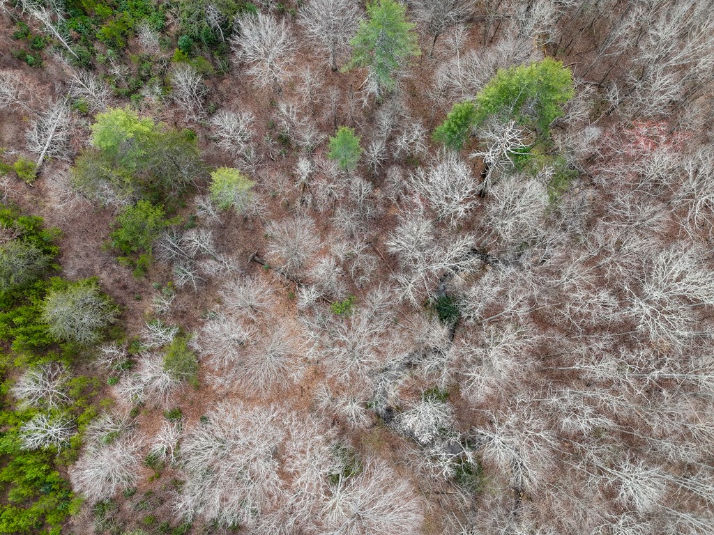 00 Yonah Way Blairsville GA 30512