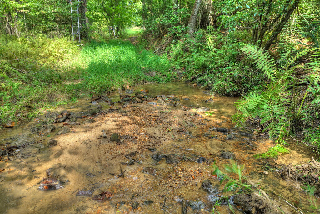 4.70 Ac Chestnut Gap Lane Blue Ridge GA 30513
