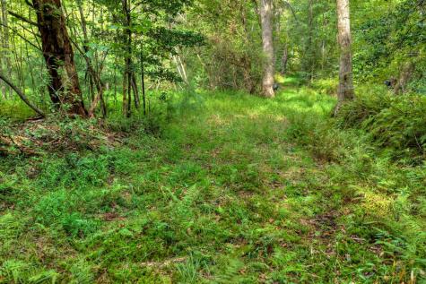 4.70 Ac Chestnut Gap Lane Blue Ridge GA 30513