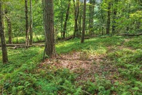 4.70 Ac Chestnut Gap Lane Blue Ridge GA 30513