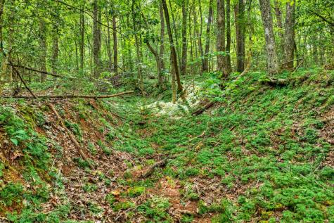 4.70 Ac Chestnut Gap Lane Blue Ridge GA 30513