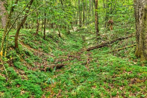 4.70 Ac Chestnut Gap Lane Blue Ridge GA 30513